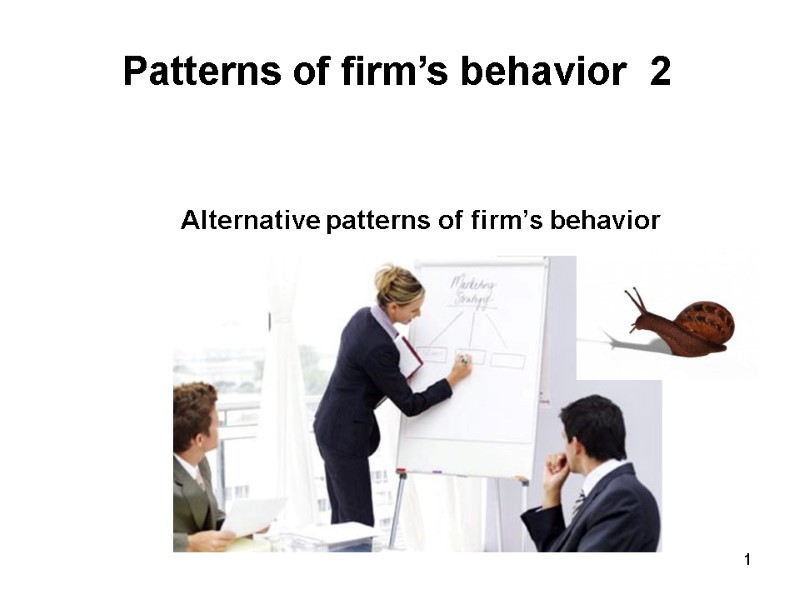 Patterns of firm’s behavior  2 Alternative patterns of firm’s behavior 1